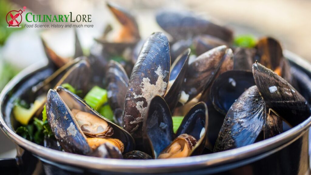 cooked mussels in bowl