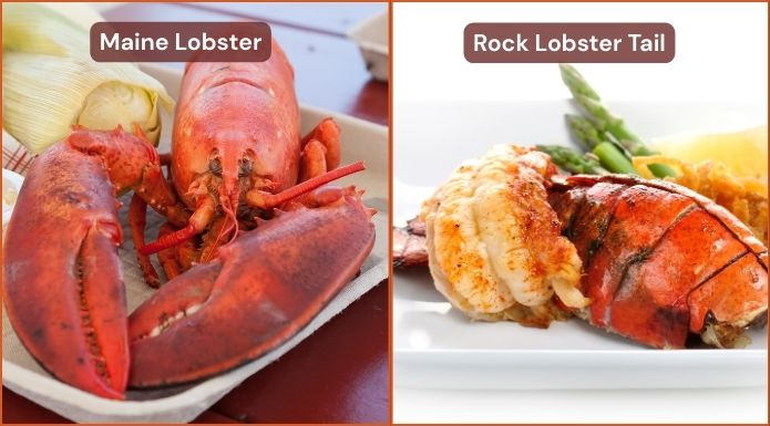 Maine vs. Rock Lobster Tails comparison. 