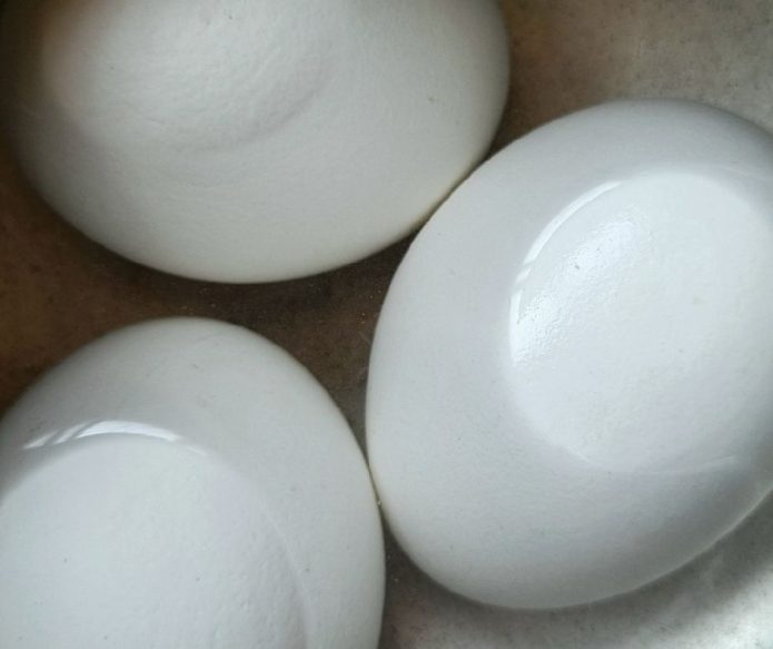 eggs warming in bowl of water