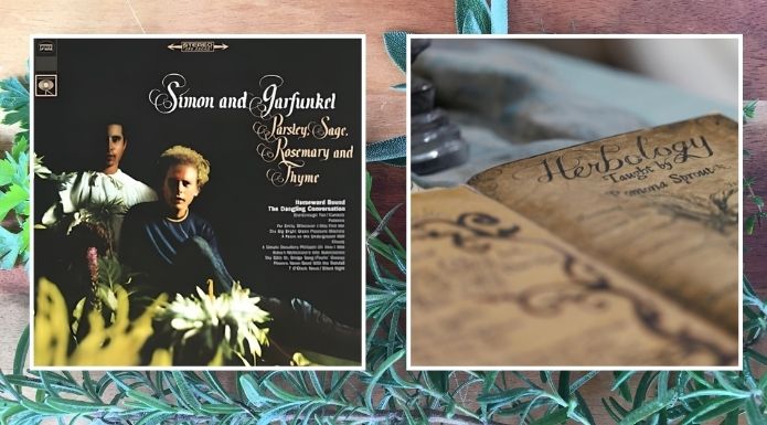 A composite image exploring the Scarborough Fair meaning, featuring the Simon and Garfunkel album cover and an old herbology manuscript superimposed over a background of fresh parsley, sage, rosemary, and thyme.