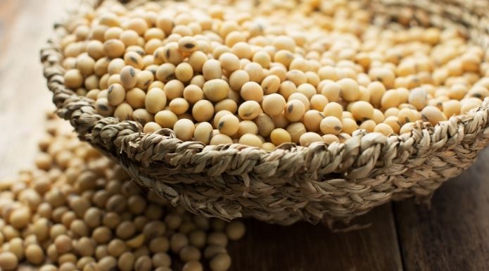 soybeans