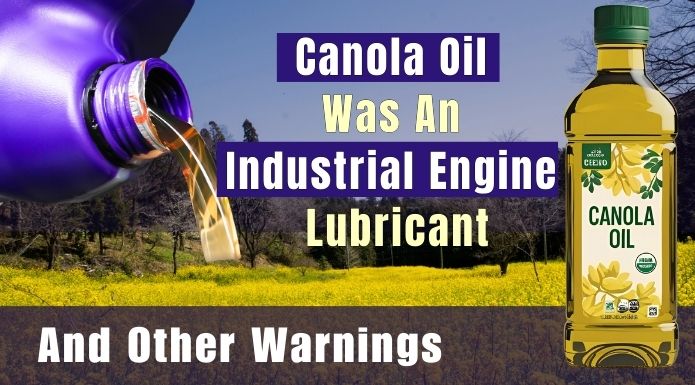 Canola oil was an industrial engine lubricant and other canola oil warnings