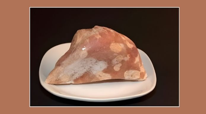 Freezer burned chicken  with splotchy discolorations and leathery surface, but safe to eat. 