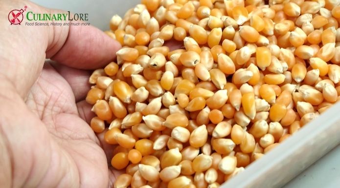 unpopped whole grain popcorn kernels