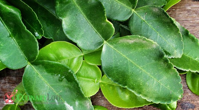 fresh Kaffir lime leaves