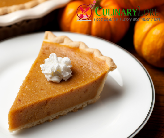 Slice of pumpkin pie