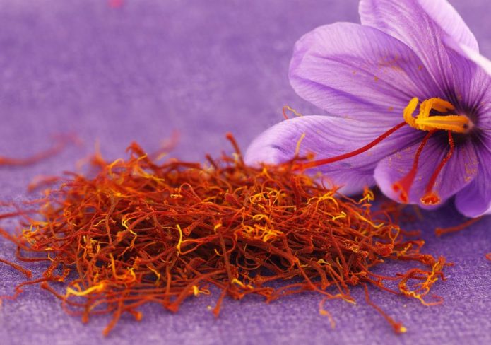 saffron crocus with attached and loose threads of saffron