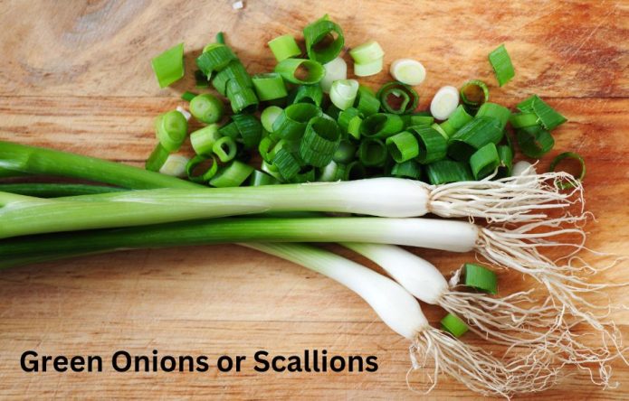 green onions or scallions with chopped and whole