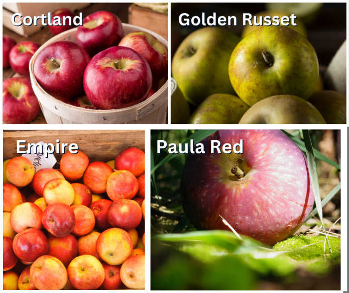 apple varieties that don't turn brown quickly when cut, cortland, empire, golden russet, paula red