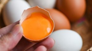 hand holding egg shell showing egg yolk with deep yellow color