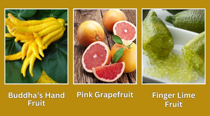A comparison of weird citrus fruits like Buddha's Hand and Finger Lime alongside pink grapefruits to show the origin of the grapefruit as a natural hybrid.