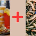 Mcdonald's burger and worms