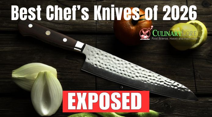 fancy forged chef's knife, Best Chef's Knives of 2026 exposed.