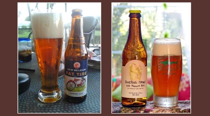 Side-by-side comparison of New Belgium Fat Tire Amber Ale (22 IBU) and Dogfish Head 120 Minute IPA (120 IBU) illustrating the range of beer bitterness.