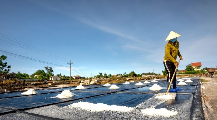 Traditional salt production showing the manual labor and steady routine of spreading salt for solar evaporation.